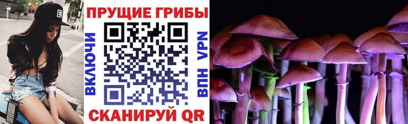 Псилоцибиновые грибы Psilocybine cubensis  Енисейск 